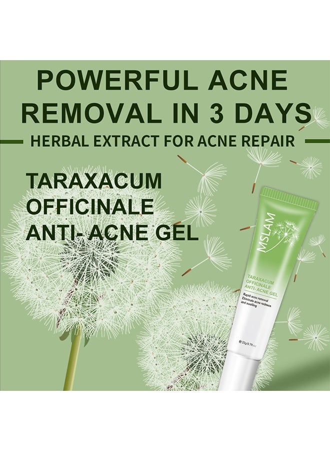 MSLAM Taraxacum Officinale Anti-Acne Gel ,with Dandelion Root Extract for Powerful Acne , Herbal Acne Gel, Powerful Acne Treatment Reduce the Appearance of Pimples and other Blemishes - Image 4