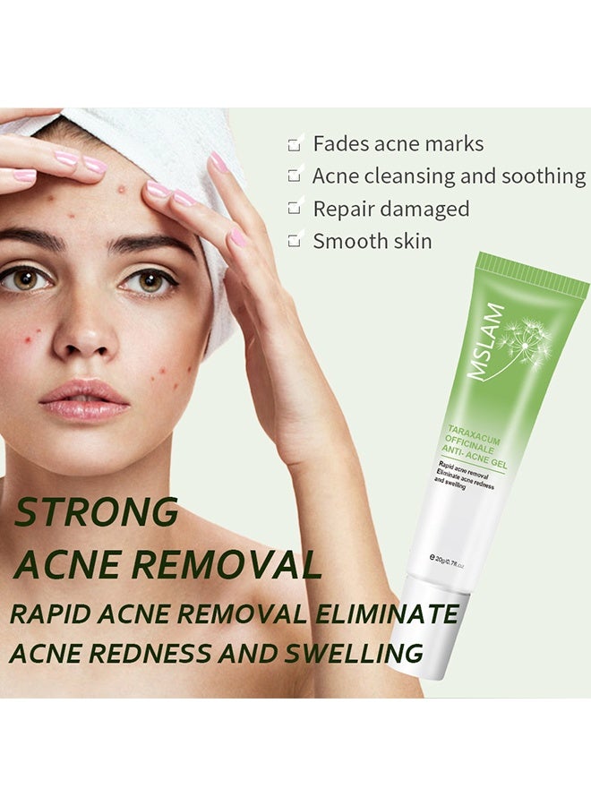 MSLAM Taraxacum Officinale Anti-Acne Gel ,with Dandelion Root Extract for Powerful Acne , Herbal Acne Gel, Powerful Acne Treatment Reduce the Appearance of Pimples and other Blemishes - Image 3