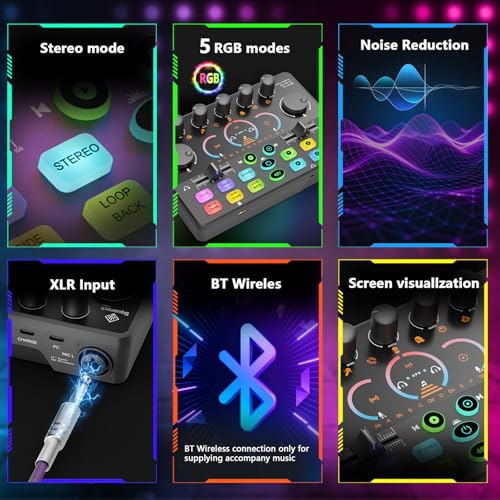 Hayner-Seek Podcast Equipment Bundle for 2, Audio Mixer with 8GB Memory Card and Dynamic Mics,RGB,Built-in Recorder, Customize Button, Stereo for Vocal Recording Podcasting,Streaming Camera, PC, Phone.(RS2i2) - Image 4
