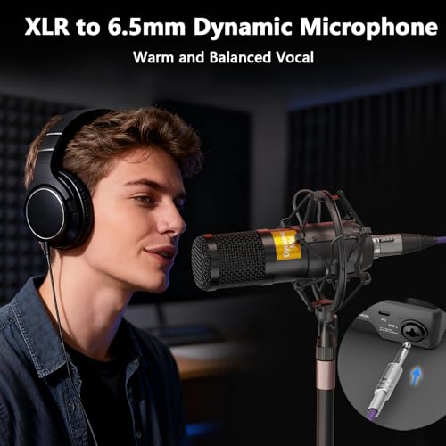 Hayner-Seek Podcast Equipment Bundle for 2, Audio Mixer with 8GB Memory Card and Dynamic Mics,RGB,Built-in Recorder, Customize Button, Stereo for Vocal Recording Podcasting,Streaming Camera, PC, Phone.(RS2i2) - Image 3