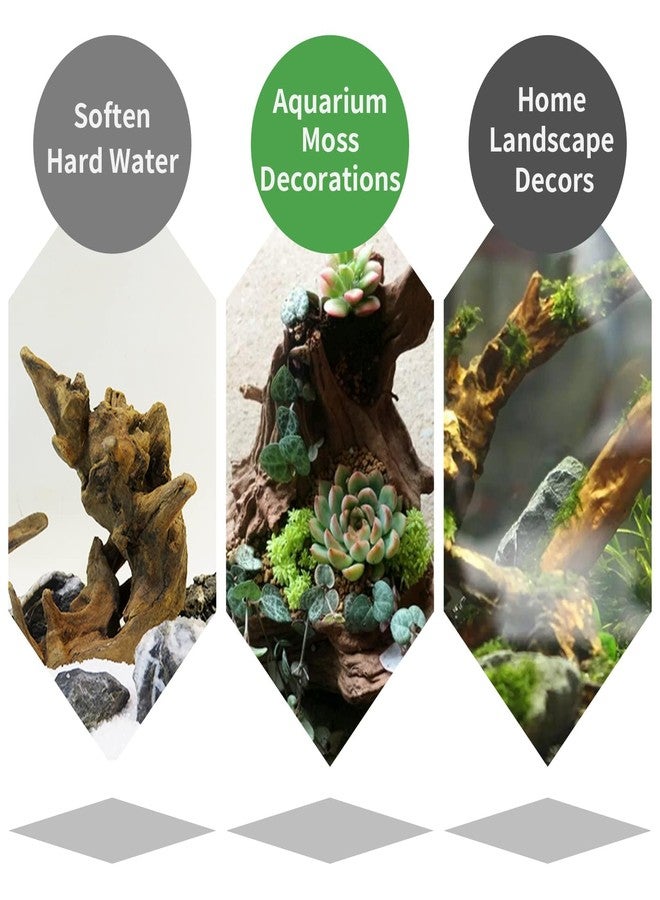 Hamiledyi 2 Pcs Driftwood for Aquarium Reptile Toy Driftwood Branches Reptiles Aquarium Decoration Assorted Size Natural Habitat Decor Wood for Lizad - Image 5