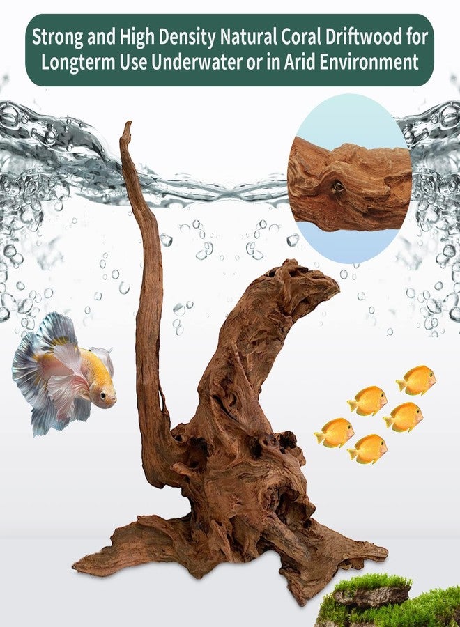 Hamiledyi 2 Pcs Driftwood for Aquarium Reptile Toy Driftwood Branches Reptiles Aquarium Decoration Assorted Size Natural Habitat Decor Wood for Lizad - Image 4