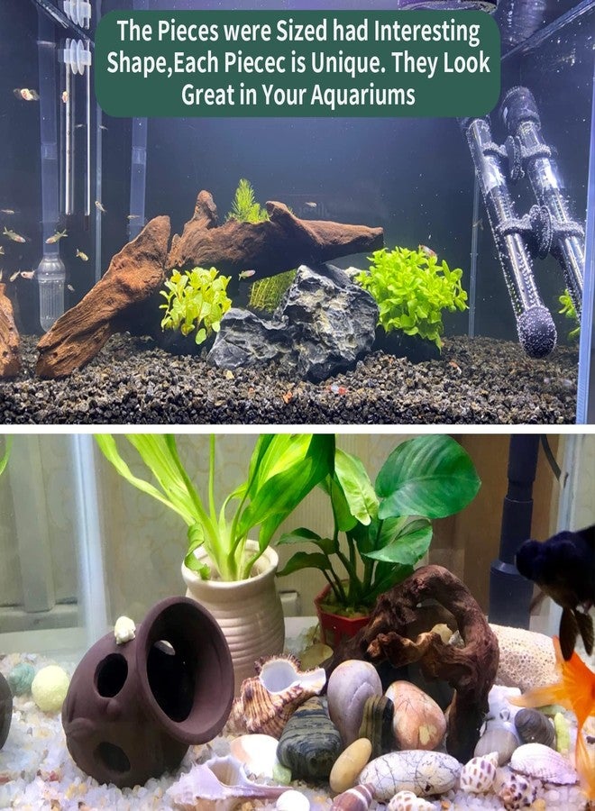 Hamiledyi 2 Pcs Driftwood for Aquarium Reptile Toy Driftwood Branches Reptiles Aquarium Decoration Assorted Size Natural Habitat Decor Wood for Lizad - Image 2