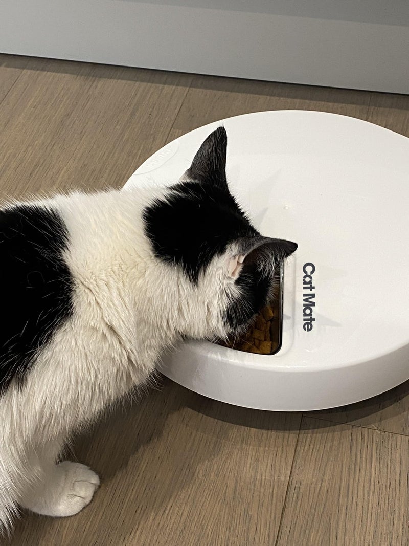 Cat Mate C500 - 5 Meal Digital Automatic Feeder with Ice Packs for Cats and Small Dogs - Image 3