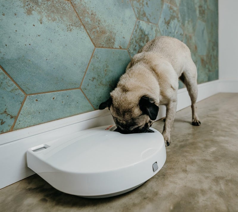 Cat Mate C500 - 5 Meal Digital Automatic Feeder with Ice Packs for Cats and Small Dogs - Image 4