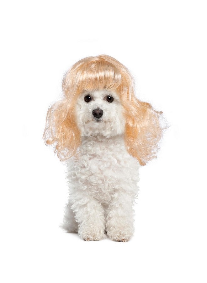 Miayon Dog Cat Cosplay Wig Long Blonde Curly Hair with Adjustable Elastic Bands Pet Wigs for Halloween, Christmas, Festivals, Pet Cosplay Costumes Accessories for Dog Cat (Blond) - Image 5