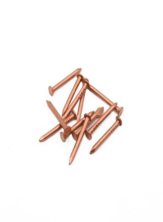 ROLIMOLI Copper Nails | Tamba ki Keel for ghar ki shanti and Keep evil away and Enhance Puja Rituals & Positive Vibes (Size : 2.5cm | Weight : 14.5gm Approxe | Pack of 11) - Image 1