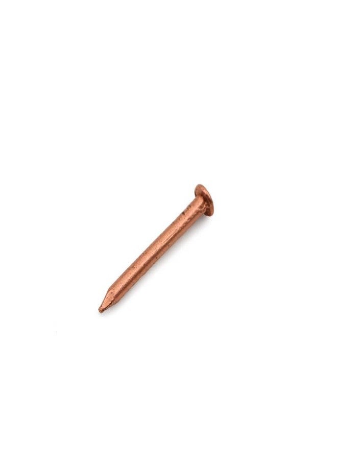 ROLIMOLI Copper Nails | Tamba ki Keel for ghar ki shanti and Keep evil away and Enhance Puja Rituals & Positive Vibes (Size : 2.5cm | Weight : 14.5gm Approxe | Pack of 11) - Image 5
