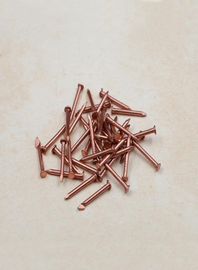 ROLIMOLI Copper Nails | Tamba ki Keel for ghar ki shanti and Keep evil away and Enhance Puja Rituals & Positive Vibes (Size : 2.5cm | Weight : 14.5gm Approxe | Pack of 11) - Image 3