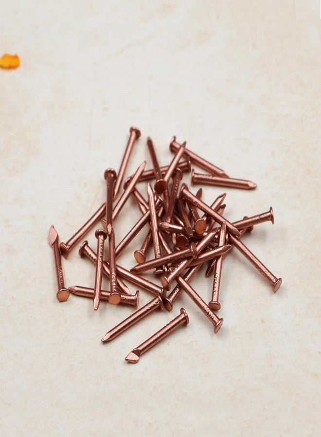 ROLIMOLI Copper Nails | Tamba ki Keel for ghar ki shanti and Keep evil away and Enhance Puja Rituals & Positive Vibes (Size : 2.5cm | Weight : 14.5gm Approxe | Pack of 11) - Image 2