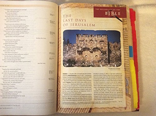 Zondervan NIV, Archaeological Study Bible, Hardcover: An Illustrated Walk Through Biblical History and Culture - Image 5
