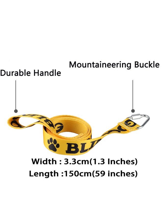 BLUPARK Visual Impairment Dog Leash Blind Dog Dog Leash Walking Training Dog Leashes Dog Owner Pet Lover Gift (Blind Dog) - Image 2