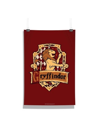 Epic Stuff Harry Potter Gryffindor no1 Wall Poster A3 Size Frame not Included Officially licensed by Warner Bros USA - pzsku/ZCA3C63CBE69F694B53E1Z/45/1745821649/9f489a6b-17ba-4df3-a850-c326e74365d3