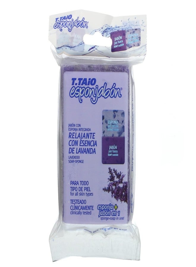 T.TAIO Soap Sponge 2 in 1 Lavender Purple Modern