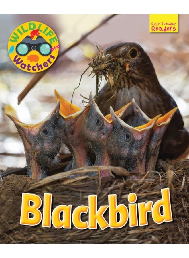 Wildlife Watchers Blackbird - Paperback