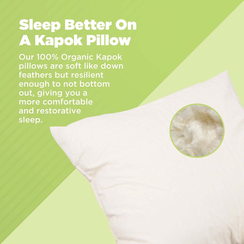 Bean Products Euro Size Premium Kapok Pillow - Breathable, Eco-Friendly and Durable Organic Cotton Fabric Neck Pillow - Soft and Supportive for Neck Support and Comfort - Made in The USA, 12" x 20" - Image 2