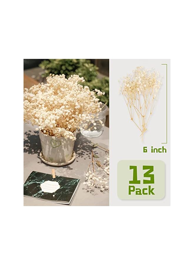 The Bros 65 Pcs Mini Dried Baby's Breath Flowers - 4000+ Pressed Real Natural Gypsophila Bulk for Resin Mold Art Craft, Ivory White Flowers Bouquet for Hair Accessory, Wedding Wreath, Table Vase, Home Decor - Image 4