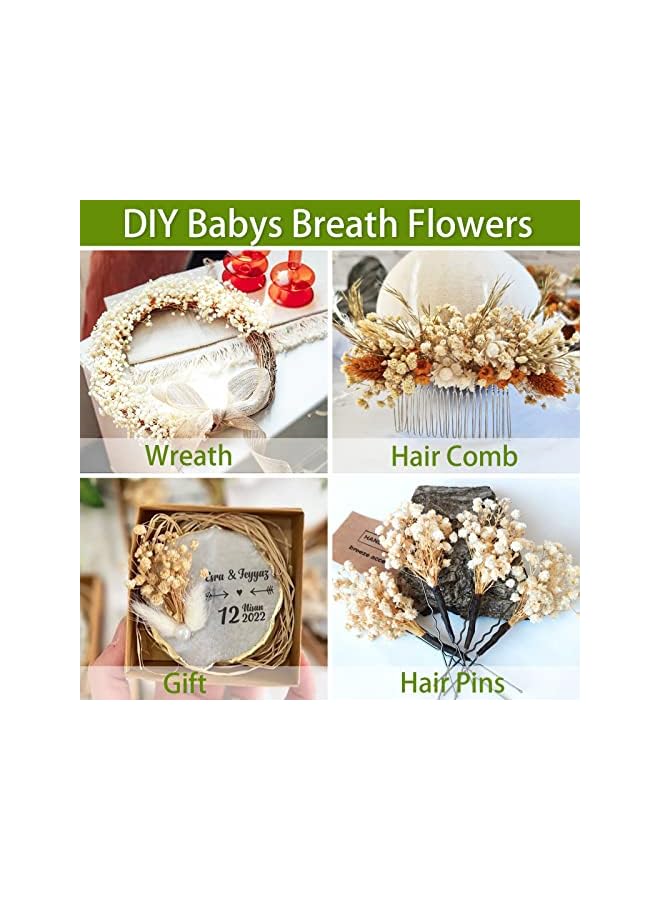 The Bros 65 Pcs Mini Dried Baby's Breath Flowers - 4000+ Pressed Real Natural Gypsophila Bulk for Resin Mold Art Craft, Ivory White Flowers Bouquet for Hair Accessory, Wedding Wreath, Table Vase, Home Decor - Image 3