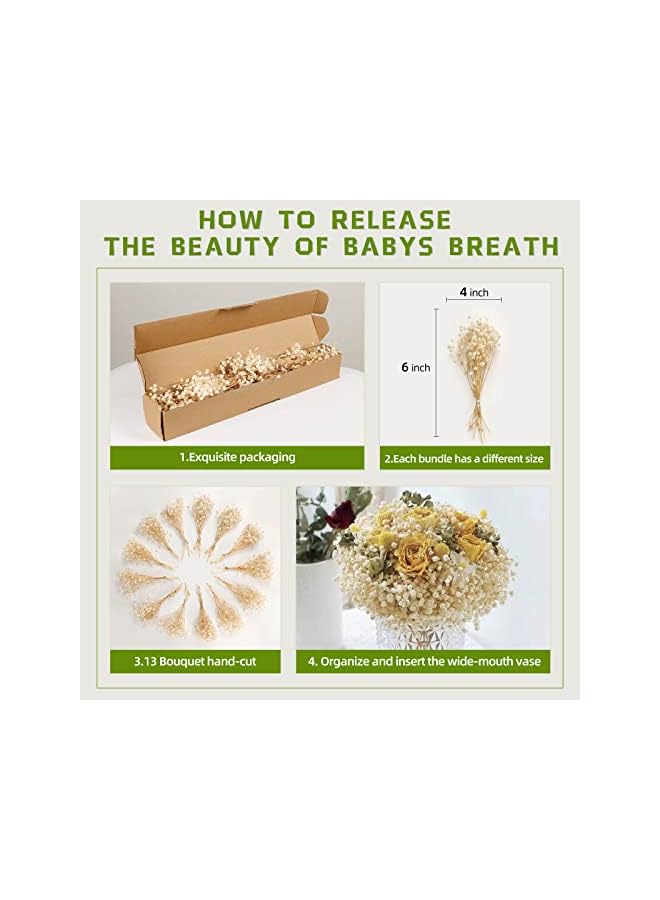 The Bros 65 Pcs Mini Dried Baby's Breath Flowers - 4000+ Pressed Real Natural Gypsophila Bulk for Resin Mold Art Craft, Ivory White Flowers Bouquet for Hair Accessory, Wedding Wreath, Table Vase, Home Decor - Image 5
