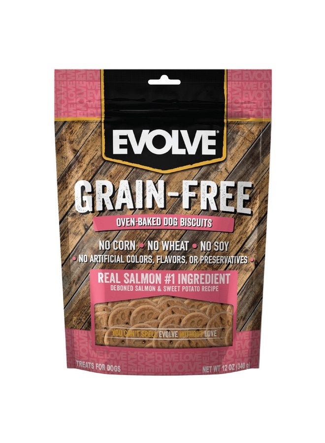 Evolve Pet Food Grain Free Deboned Salmon and Chickpea Dog Biscuits 12 Ounce (Pack of 1) - Image 1