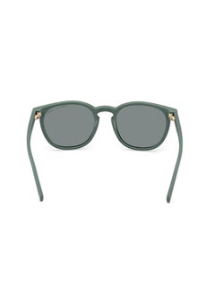GANT Round Sunglasses For Men - Dark Havana  - Image 5