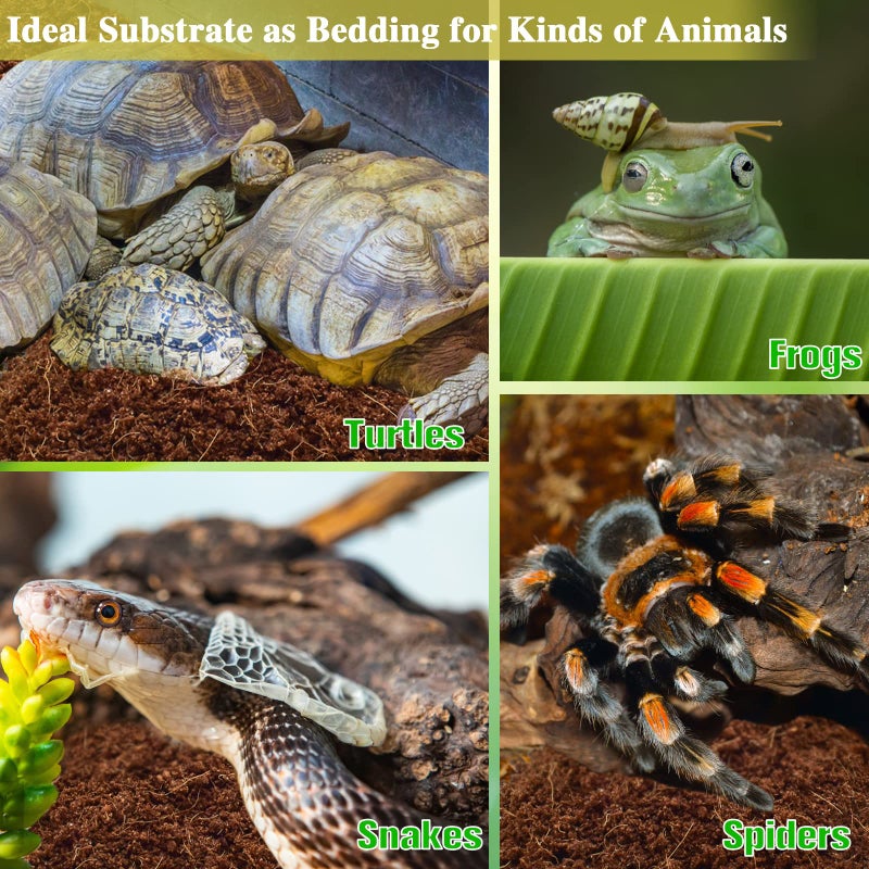 ZeeDix 6 Pack Coconut Fiber Substrate, 100% Organic Coconut Husk Coco Coir Brick Terrarium Bedding for Reptiles, Tortoise, Bearded Dragon, Leopard Gecko, Snake, Hermit Crabs, Frogs, Tarantula - Image 5