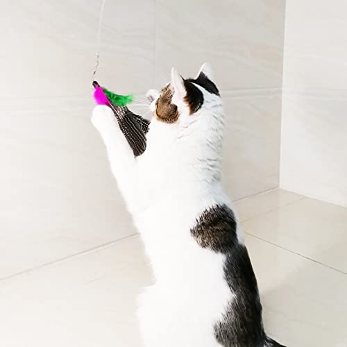 TIENAILING Cat Feather Toys Refills, 8 Pieces Natural Da Bird Feathers Refill, Cat Wand Replacement Feather for Indoor Cats (D) - Image 4