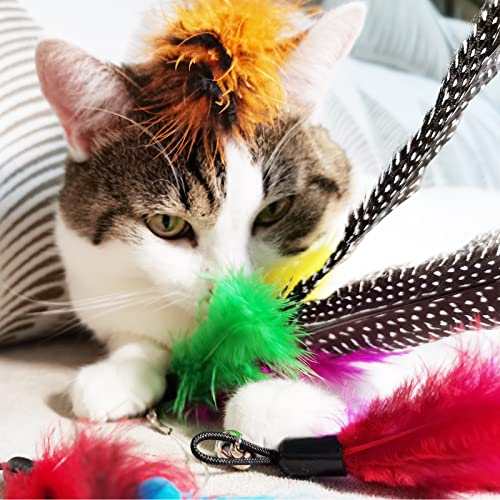 TIENAILING Cat Feather Toys Refills, 8 Pieces Natural Da Bird Feathers Refill, Cat Wand Replacement Feather for Indoor Cats (D) - Image 5