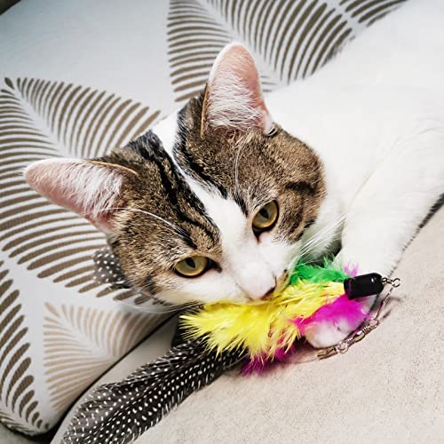 TIENAILING Cat Feather Toys Refills, 8 Pieces Natural Da Bird Feathers Refill, Cat Wand Replacement Feather for Indoor Cats (D) - Image 3