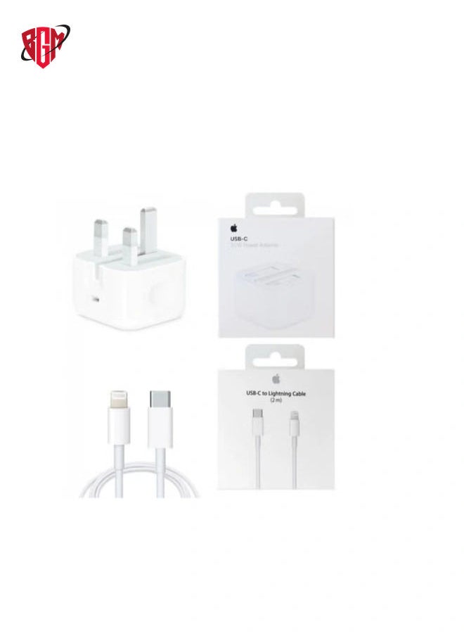 20W Foldable Fast Charging Wall Adapter Compatible with Apple iPhone 12 Pro Max/11 Pro Max/SE, iPad White