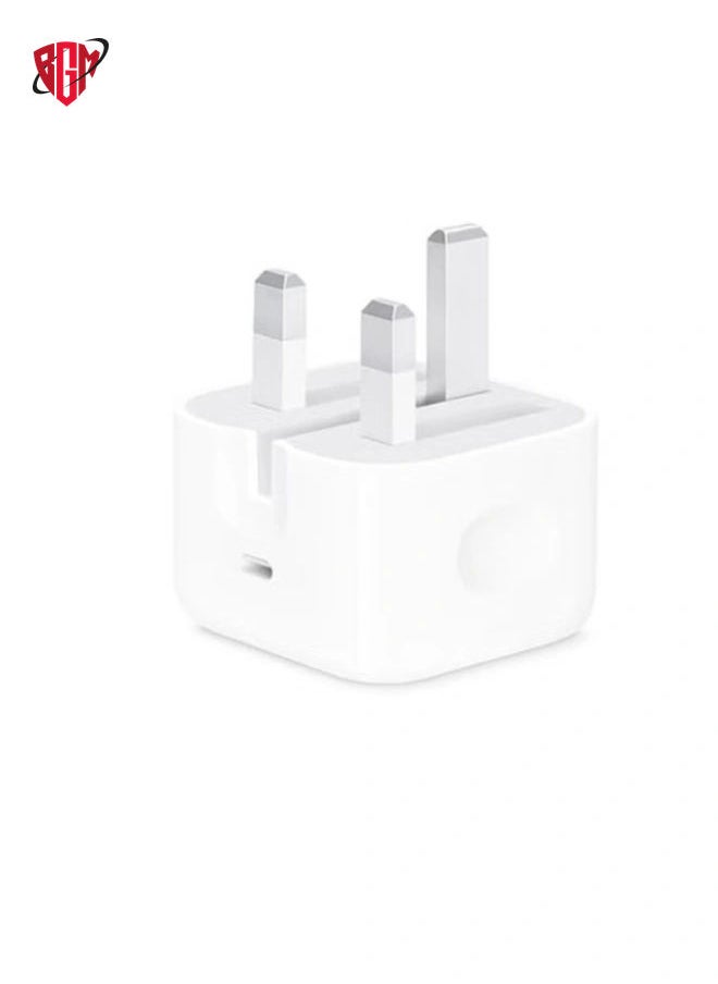 20W Foldable Fast Charging Wall Adapter Compatible with Apple iPhone 12 Pro Max/11 Pro Max/SE, iPad White