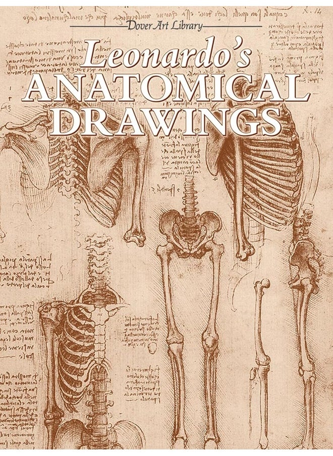 null - Leonardo's Anatomical Drawings - Image 1