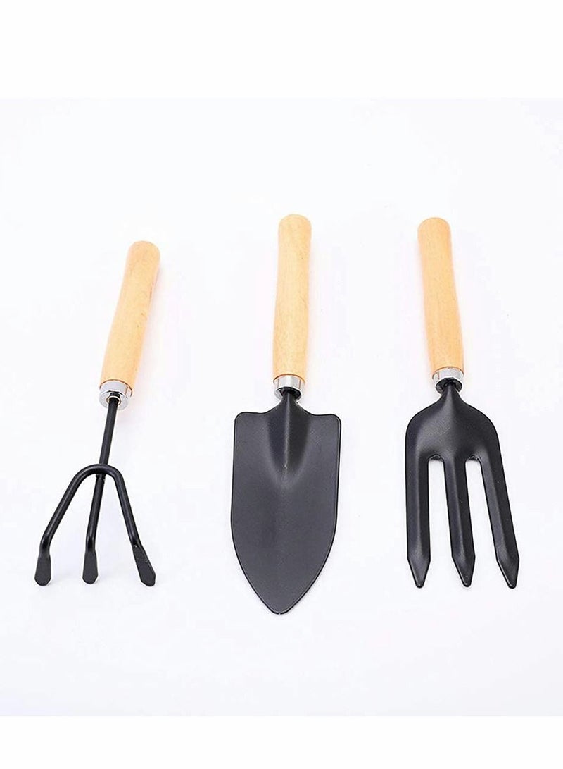 KASTWAVE Garden Tools Set of 6 Pcs,  Succulent Tools, Pruning Scissors as Plant Accessories,Succulent Gardending Hand Tools Kit for Seedling Soil, Caring Succulent, Houseplent, Bonsi - Image 5