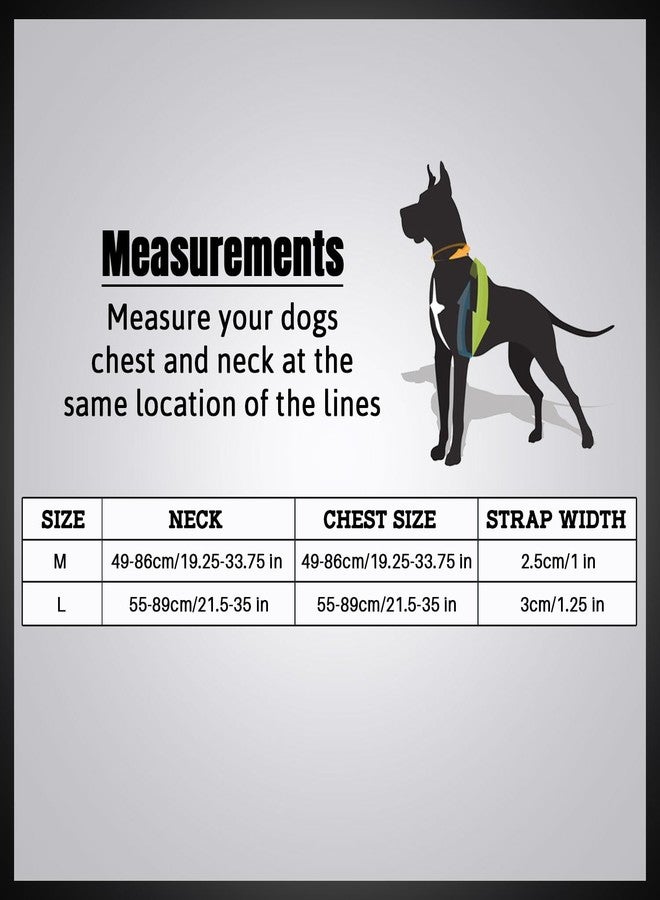 Plushmate x Petaholic Soft Athletica Harness Step-in, Reflective, Adjustable & Comfortable for Training, Walking, Running Chest Pet Harness for Dogs (Medium, Red, 25 mm) - Image 5