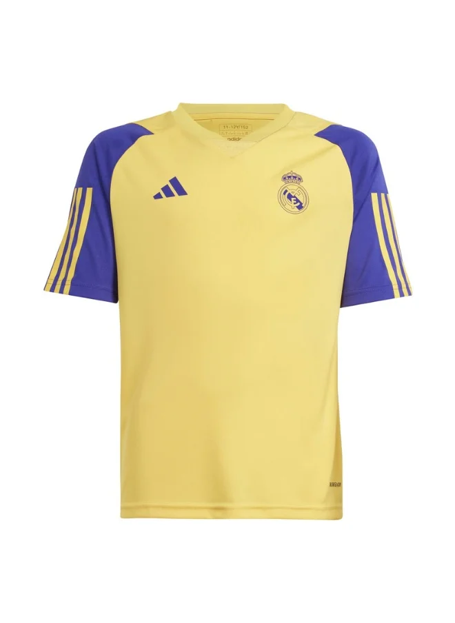 اديداس REAL TR JSY Y