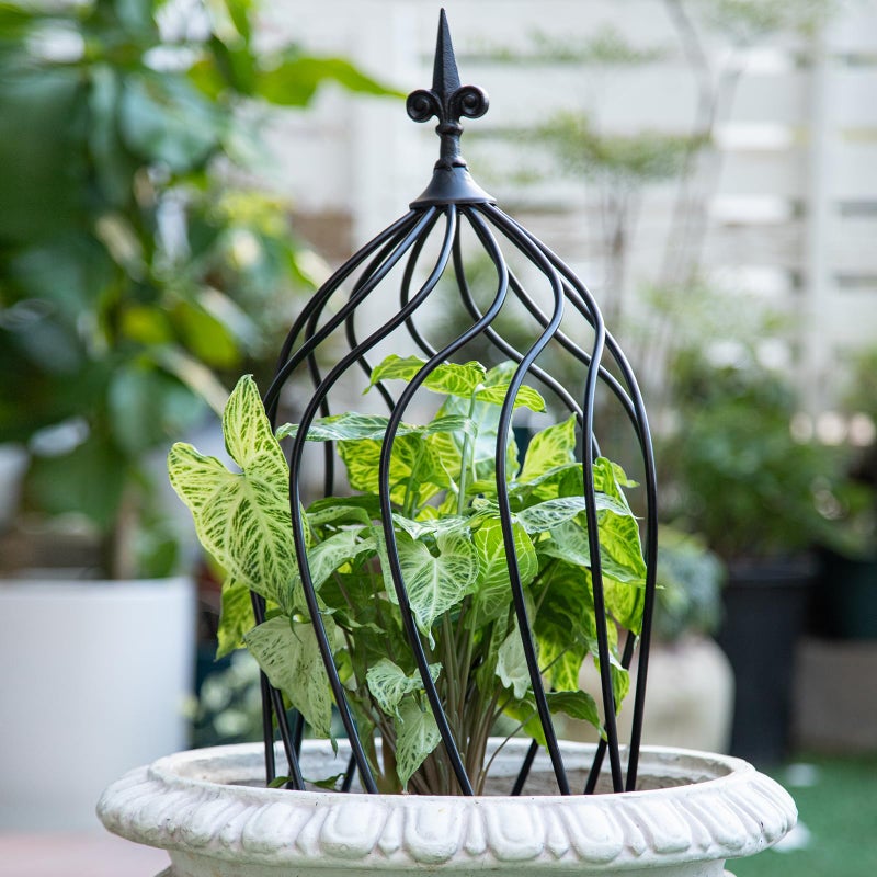 GOOOXIM 23-Inch Metal Obelisk Trellis for Climbing Plants | Sturdy Iron Design, Ideal for Outdoor Roses and Potted Vines | Easy Assembly, Compact Vertical Garden Decor for Indoor & Outdoor Use - Image 4