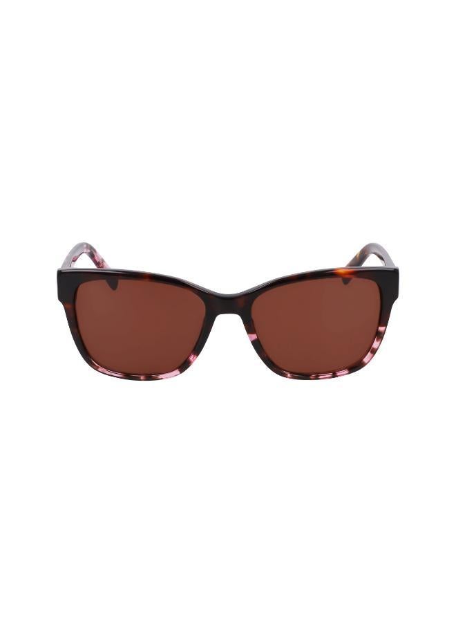 DKNY Dk552S Wayfarers Sunglasses - Image 1