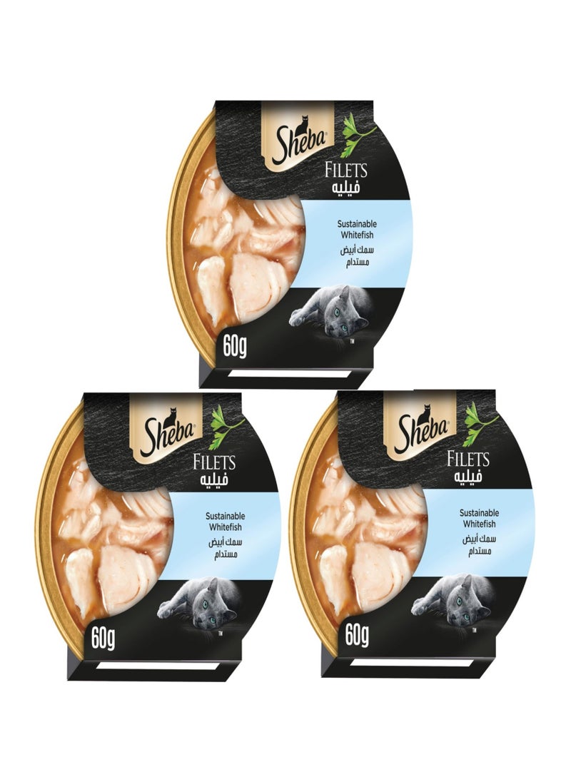 Sheba Sheba Wet Cat Food Fillet White Fish Sustainable This wet food from Sheba is made for smooth and reliable consumption and is rich in the essential nutritional requirements of Dom cats 60g 3 packs  - Image 1