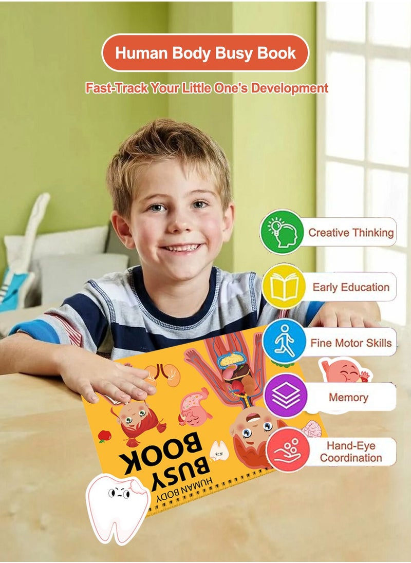 MaBaby - كتاب مشغول للأطفال، ألعاب تعليمية حسية لتشريح الجسم البشري، ألعاب السفر لأنشطة ما قبل المدرسة، هدايا عيد ميلاد للأطفال - Image 1