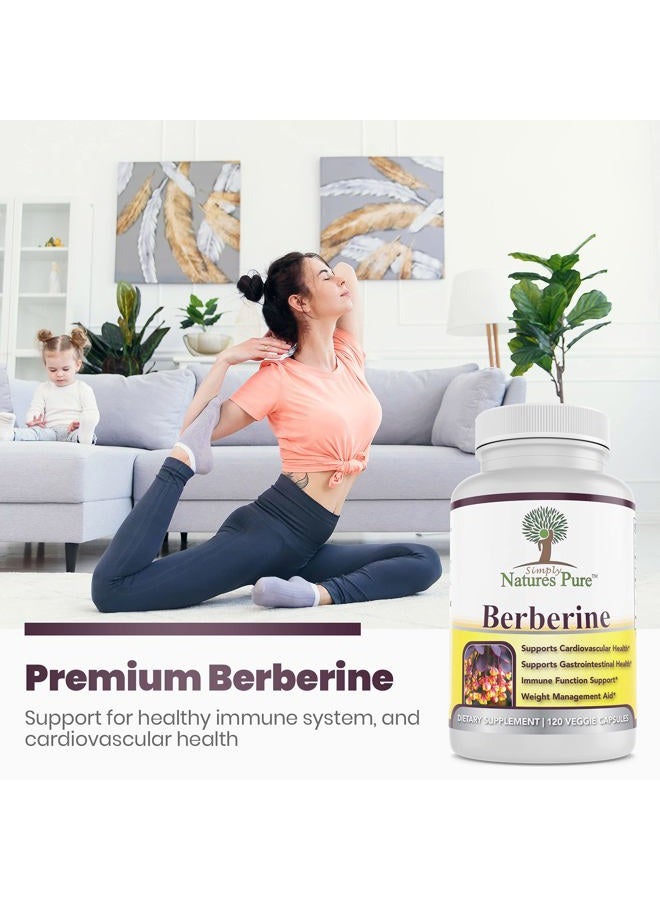 Simply Natures Pure Premium Berberine HCl 500mg - 120 Capsules - Cardiovascular Gastrointestinal Immune Support - Chromium Cinnamon - Image 4
