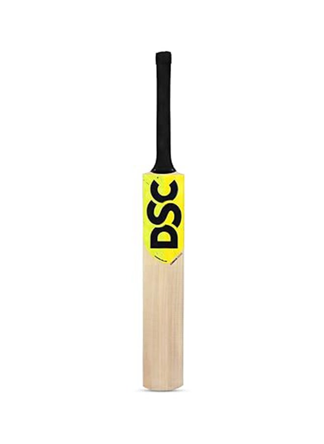 DSC Economy Kashmir Willow Cricket Kit | For Left Hand | Complete Cricket Kit | Professional Cricket Gear | All-In-One Cricket Set  - Image 3