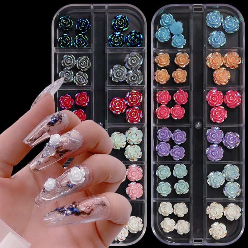 TBRZTR 2 Boxes Flower Nail Art Decorations 5D Solid Flowers Resin 12 Colors 6mm 8mm Blue White Colorful for Women Girls Manicure Blossom Supplies