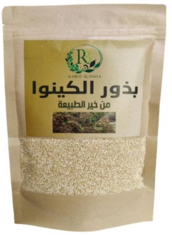 R3 Two pieces of quinoa seeds 250 g - Image 2