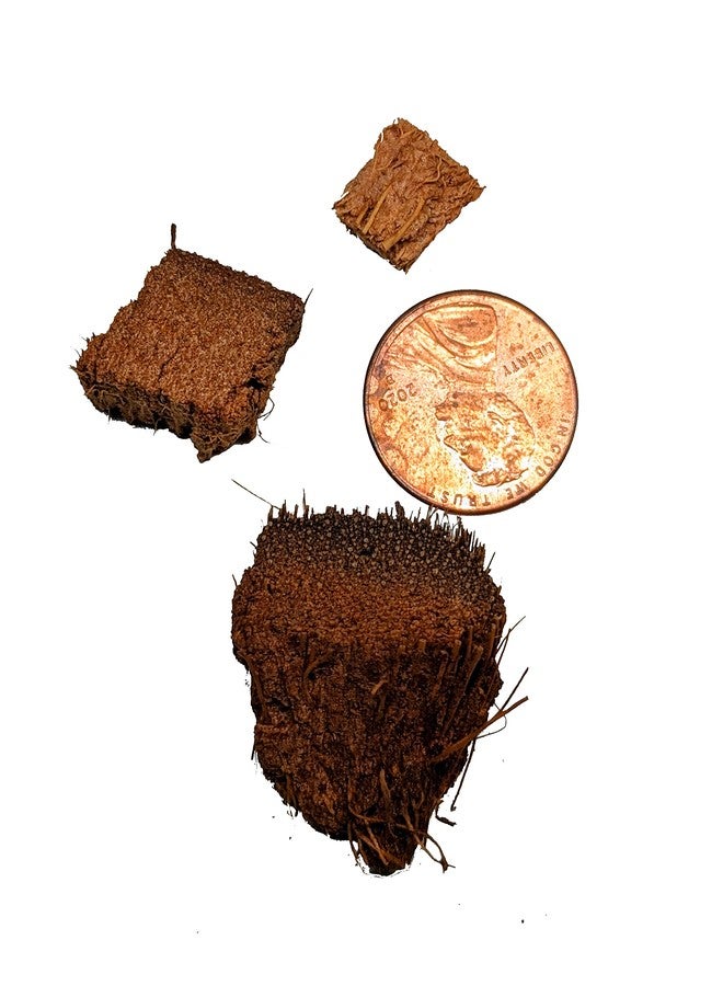 Josh's Frogs Loose Coco Husk Chips (25 Liters) - Image 5