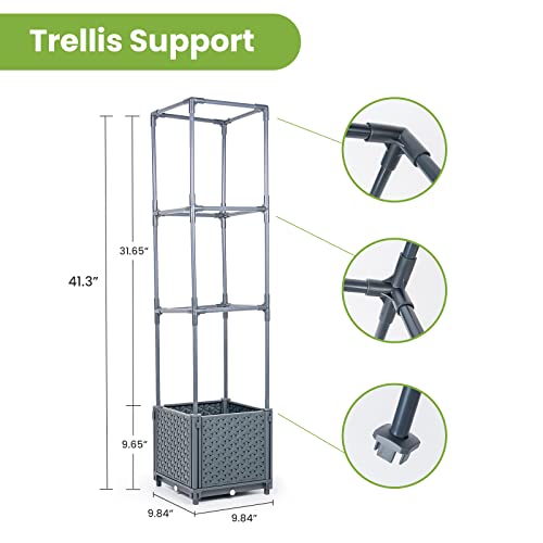 GREEN MOUNT Raised Garden Bed Planter Boxes with Trellis for Climbing Vegetables Plants Tomato Cage - Image 3