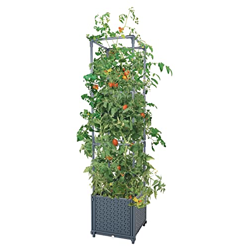GREEN MOUNT Raised Garden Bed Planter Boxes with Trellis for Climbing Vegetables Plants Tomato Cage - Image 1