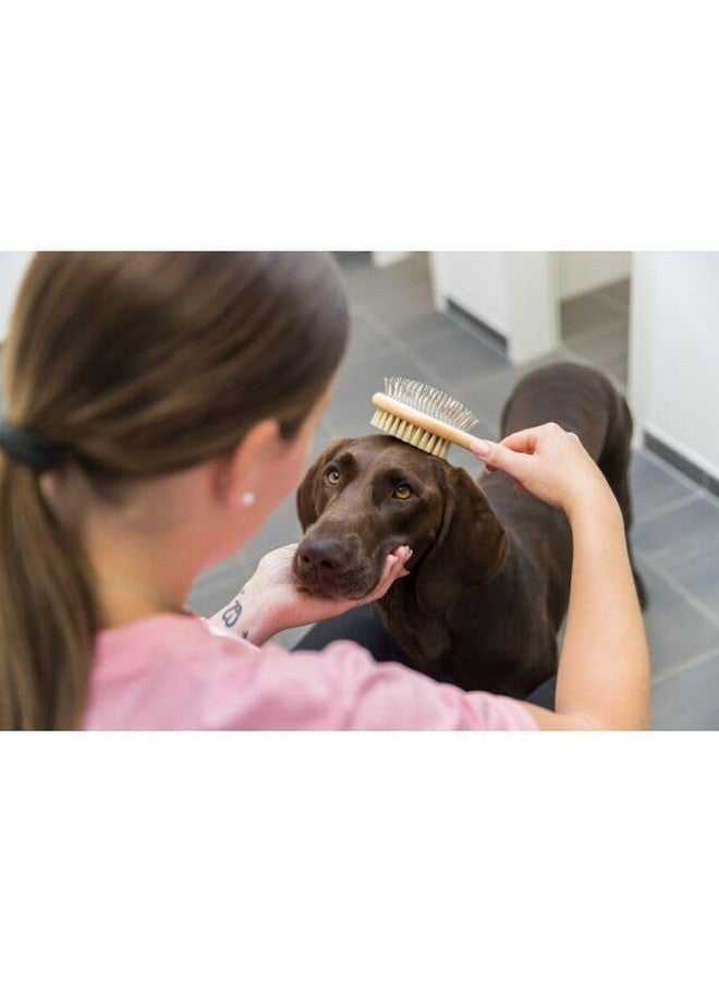 تريكسي فرشاة كلاب مزدوجة الجوانب مزودة بدبابيس وشعيرات، تعمل على تدليك وإزالة الشعر المتساقط من فراء كلبك - Image 5