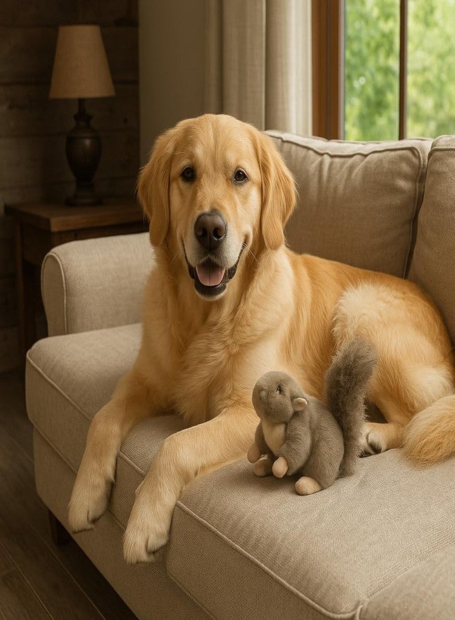 SPOT Woodland Collection Squirrel Dog Toy with Squeaker, Plush Grunting Tug Toy, Interactive Play for All Dog Breeds, 10" - Image 3