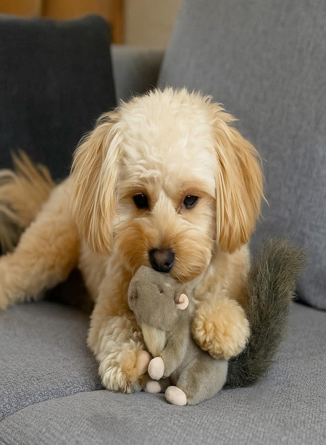 SPOT Woodland Collection Squirrel Dog Toy with Squeaker, Plush Grunting Tug Toy, Interactive Play for All Dog Breeds, 10" - Image 4