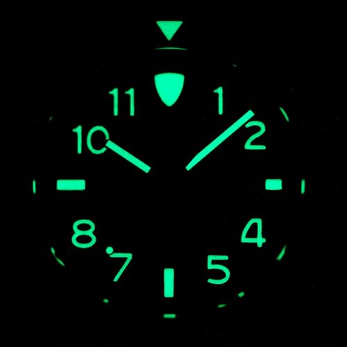 Pantor Dive Watch - 300m Automatic Watches for Men with Rubber Strap_ Steel Diver Watches_Conch BG - Image 4